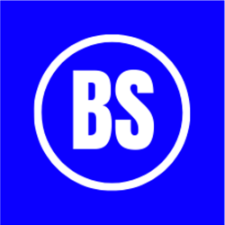 BS Logo google